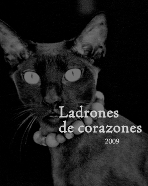 2009 Ladrones de Corazones .Texto F. Ruiz de Lobera. Galería Inés Barrenechea
